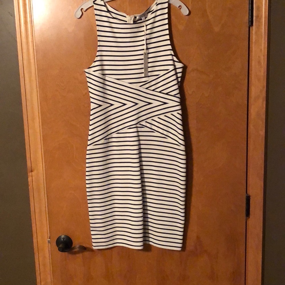 Black Swan brand dress.